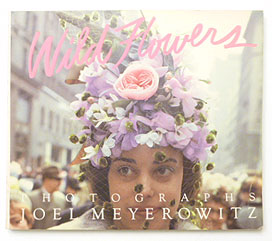 Wild Flowers | Joel Meyerowitz