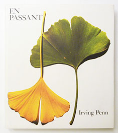 EN PASSANT | Irving Penn