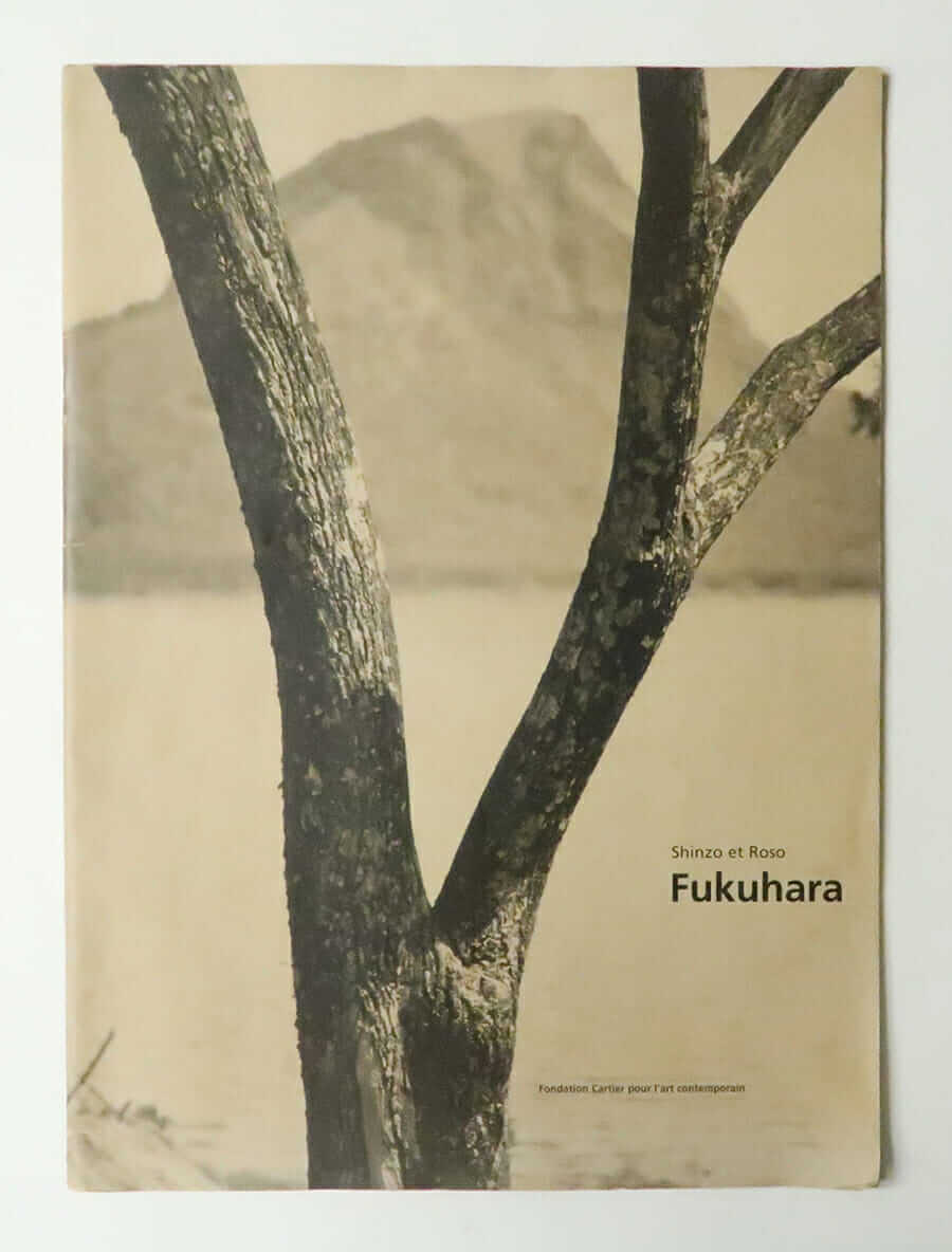 Shinzo et Roso Fukuhara (Fondation Cartier pour l'art contemporain)