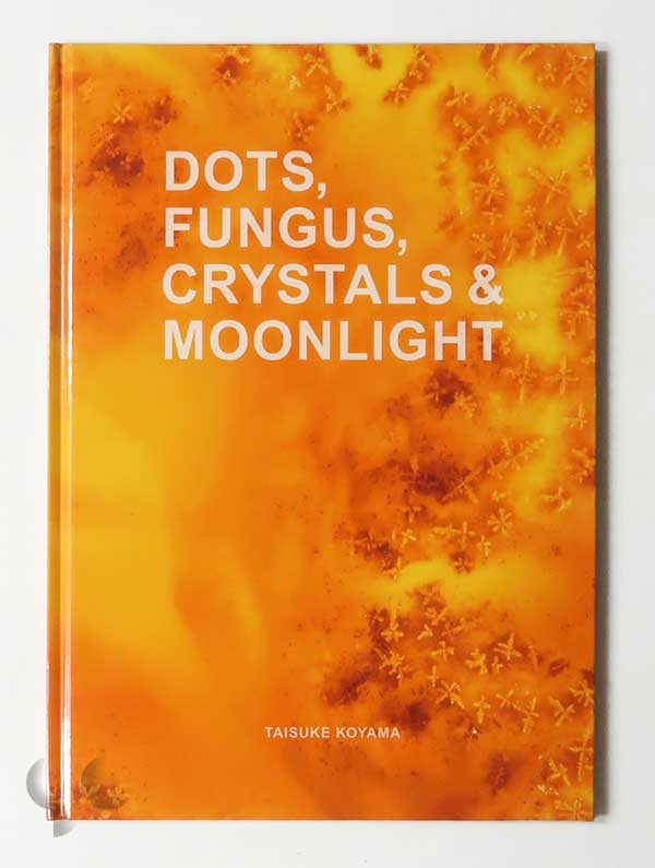 Dots, Fungus, Crystals & Moonlight 小山泰介