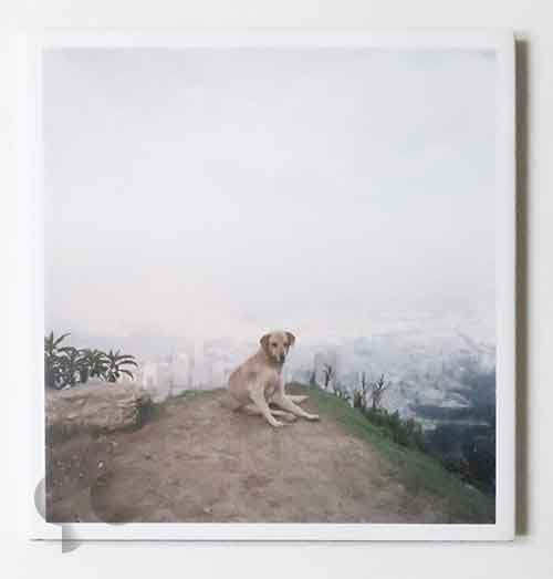 Dog Days Bogotá | Alec Soth