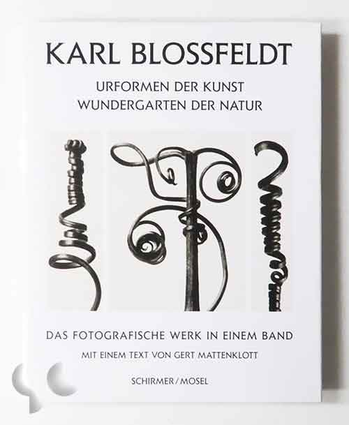 Karl Blossfeldt: Urformen Der Kunst Wundergarten Der Natur