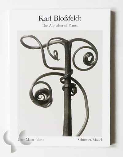 The Alphabet of Plants | Karl Blossfeldt