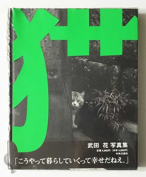 猫 Tokyo Wild Cats 武田花