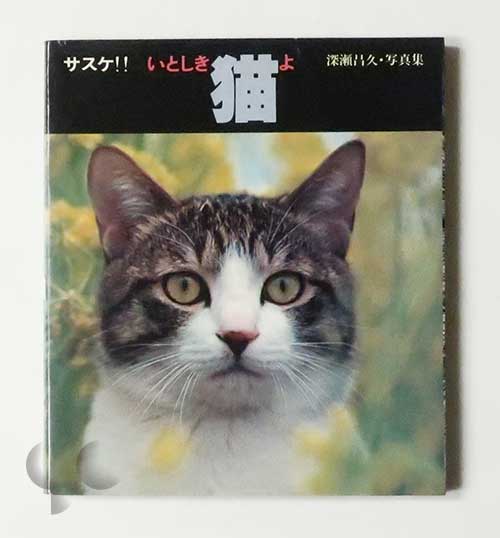 サスケ!! いとしき猫よ 深瀬昌久 -SO BOOKS