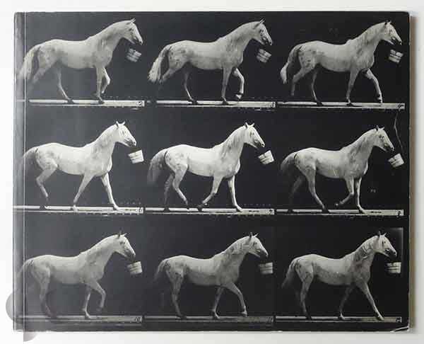 Motion and Document Sequence and Time