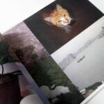 Will the Circle Be Unbroken 奈良美智