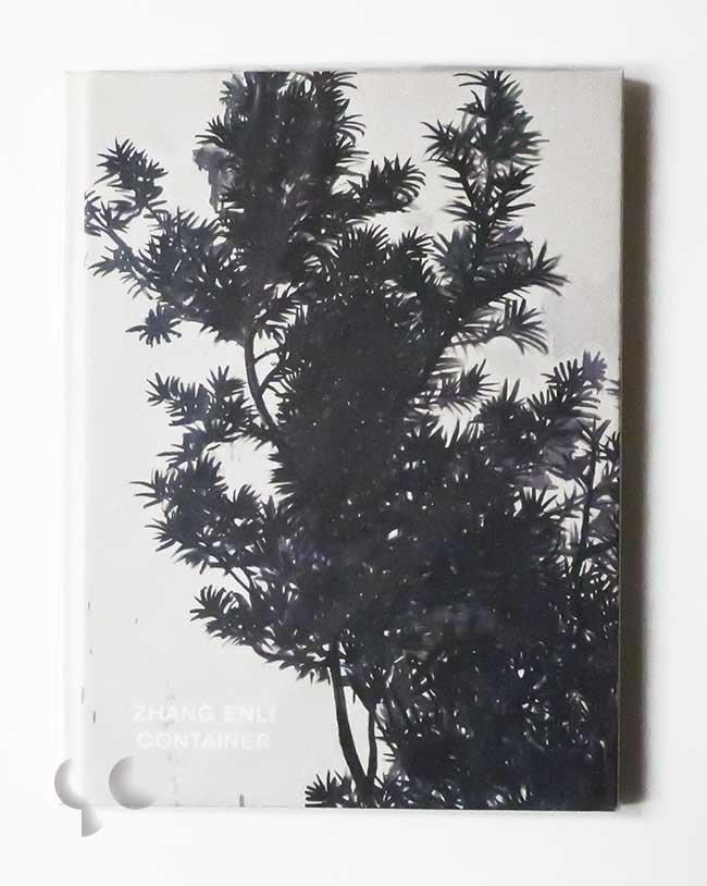 Container | Zhang Enli