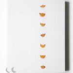 Hreinn Friðfinnsson Works 1964-2019