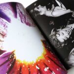 What if Jeff were a butterfly? | Jeff Mermelstein