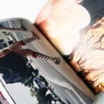 What if Jeff were a butterfly? | Jeff Mermelstein