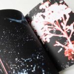 Grand Circle Diego | Cyril Costilhes