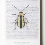 The Universal Photographer | Anne Geene and Arjan De Nooy