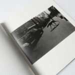 フランスの犬 尾仲浩二