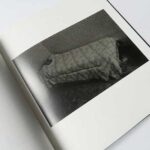 フランスの犬 尾仲浩二