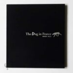 フランスの犬 尾仲浩二