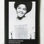 Division of Pleasures | Vieceli & Cremers