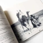 Julien Viaud ou Pierre Loti: Coureur des mers et coureur de rêves