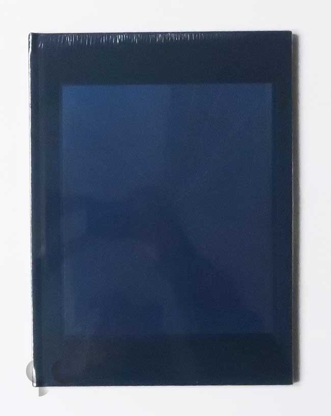 Butterfly Paintings | Mark Grotjahn