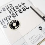 Steve Hiett: Marion de Beaupré présente