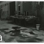 Skelton Goats Dust Storms 金村修 プリント付き特装版