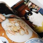 My family is a pubis so I cover them in pretty panties | Motoyuki Daifu