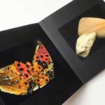 A Certain Collector B 万代洋輔