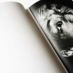 RETINAGAZER 塩田正幸