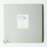 The Blue Guitar | David Hockney