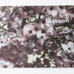 Blossom | Thomas Demand and Ben Lerner