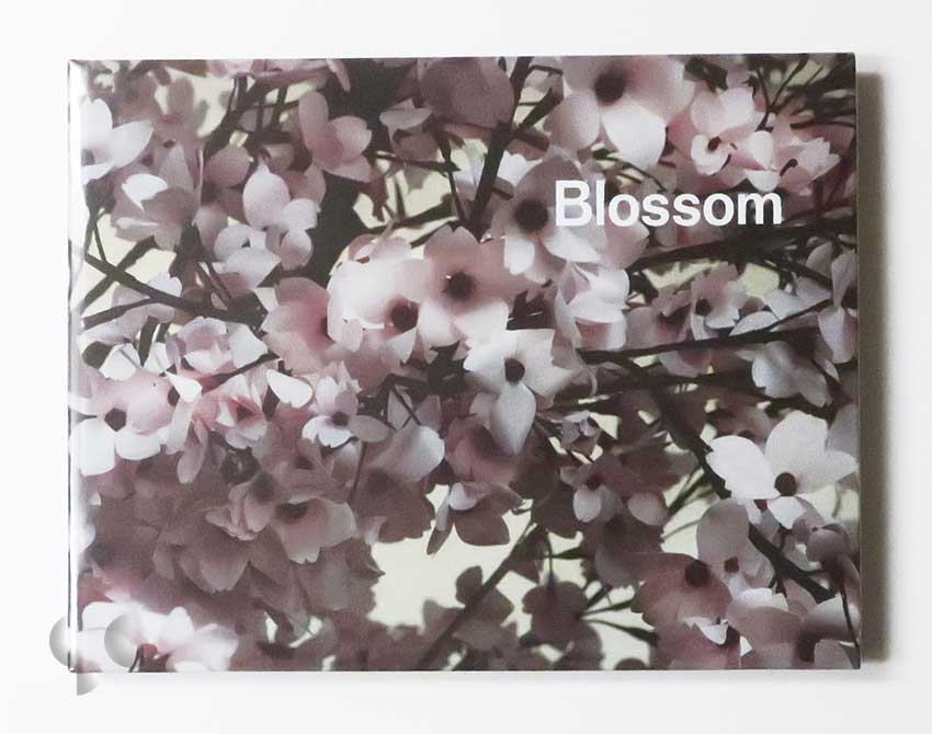 Blossom | Thomas Demand and Ben Lerner