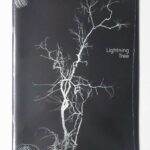 Lighting Tree | Taiyo Onorato & Nico Krebs