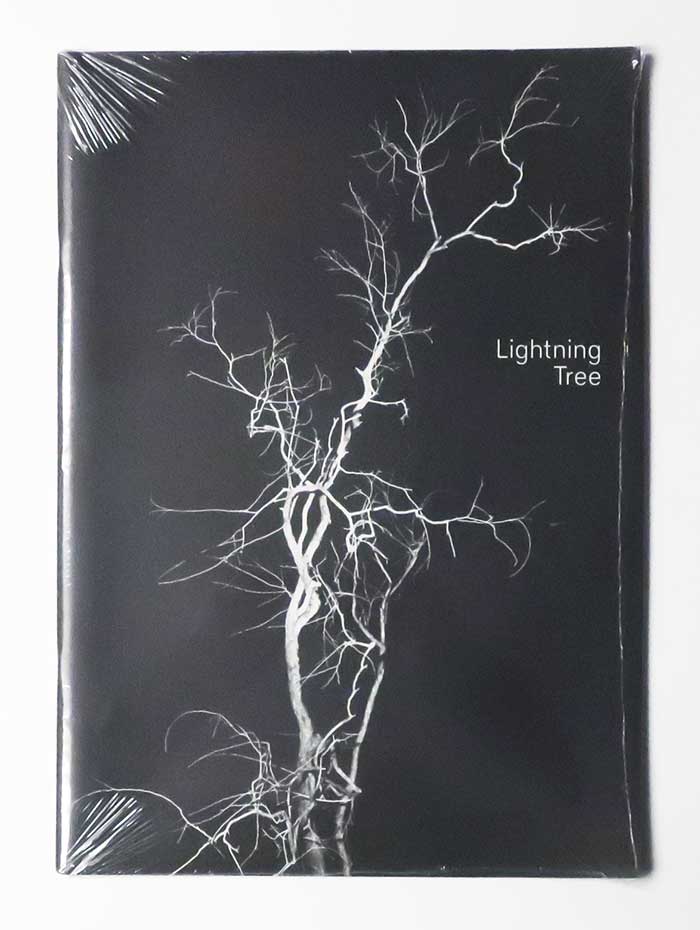 Lighting Tree | Taiyo Onorato & Nico Krebs