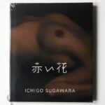 赤い花 菅原一剛