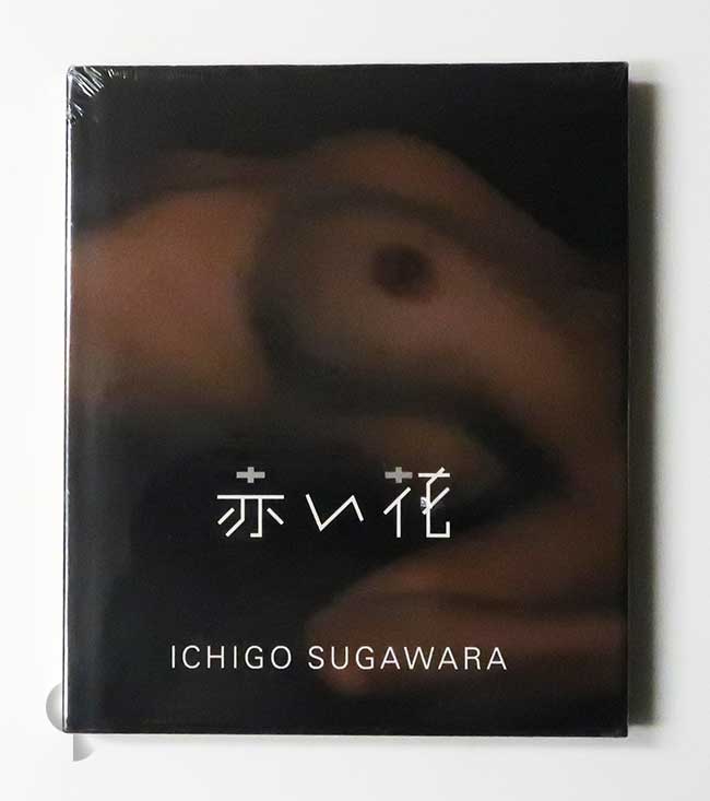 赤い花 菅原一剛