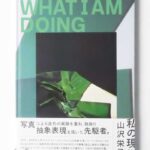 私の現代 山沢栄子 (2019)