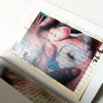 e hagaki: One Picture Book | Emi Anrakuji