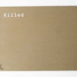 Killed: Rejected Images of the Farm Security Administration