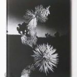 Horizon Icons | Chris Shaw