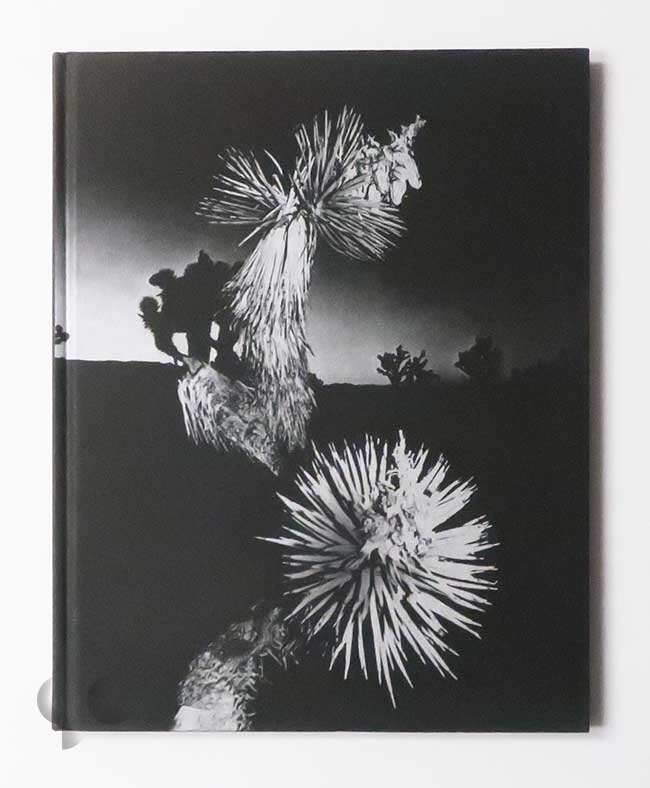 Horizon Icons | Chris Shaw