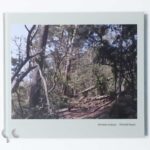 Heliotropic Landscape 寺崎珠真
