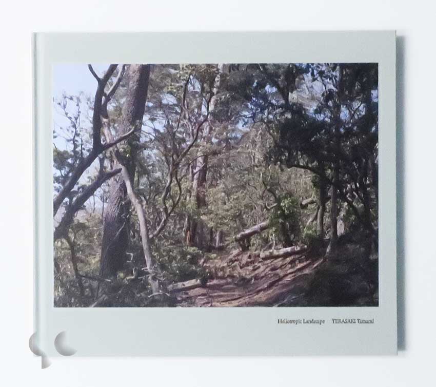 Heliotropic Landscape 寺崎珠真