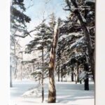 White Room | Junki Yarinome