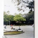 TORII 下道基行