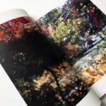 Stilll | Terri Weifenbach