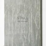 Stilll | Terri Weifenbach