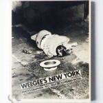 Weegee's New York: Photographien 1935-1960