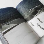 The Last Survivor is the First Suspect | Nick Haymes