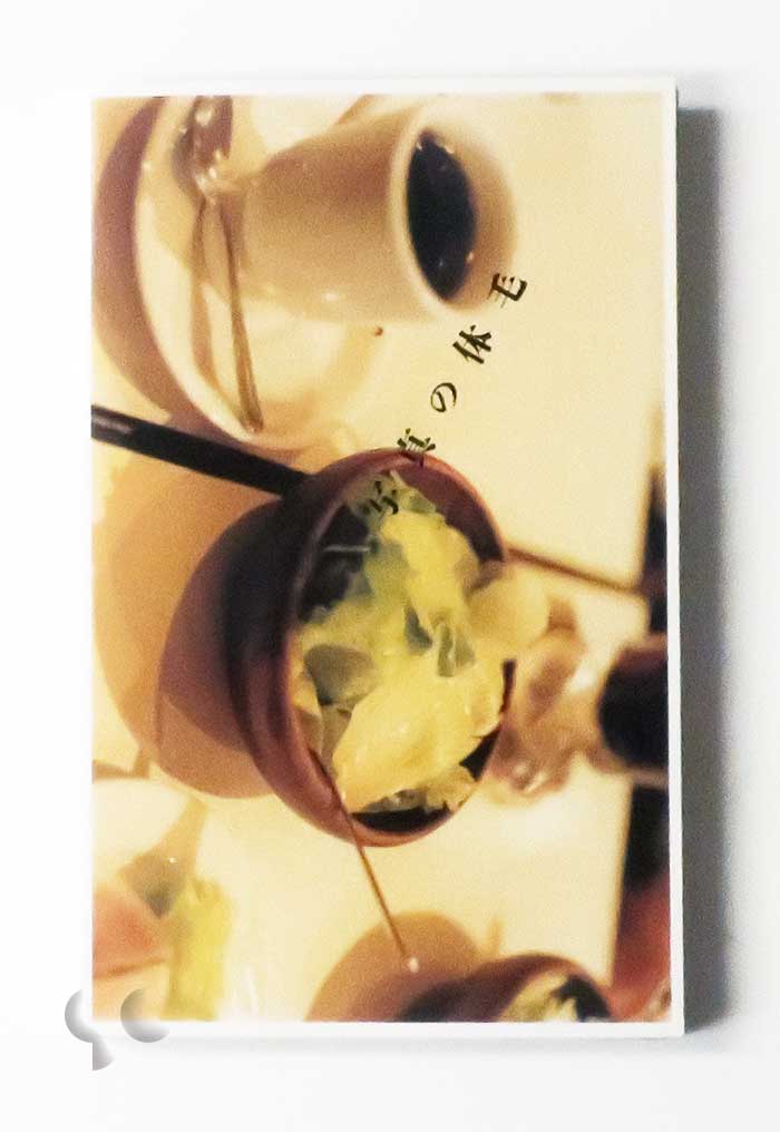 写真の体毛 佐内正史