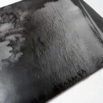 植物、暗室のための習作 横田大輔